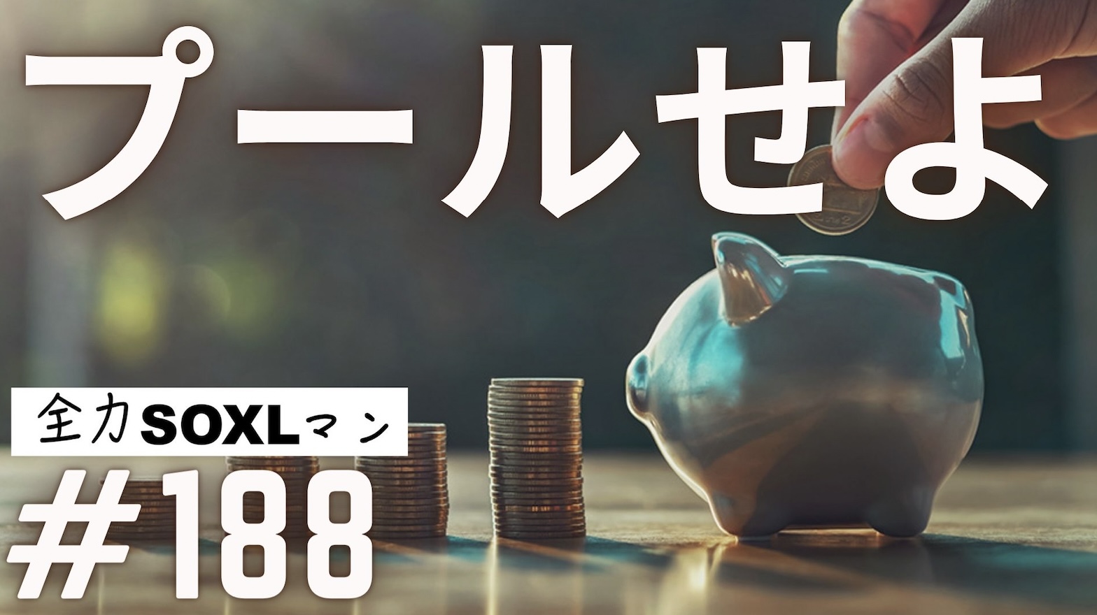 #188 全力SOXLマン「2024年SOXLの展望」